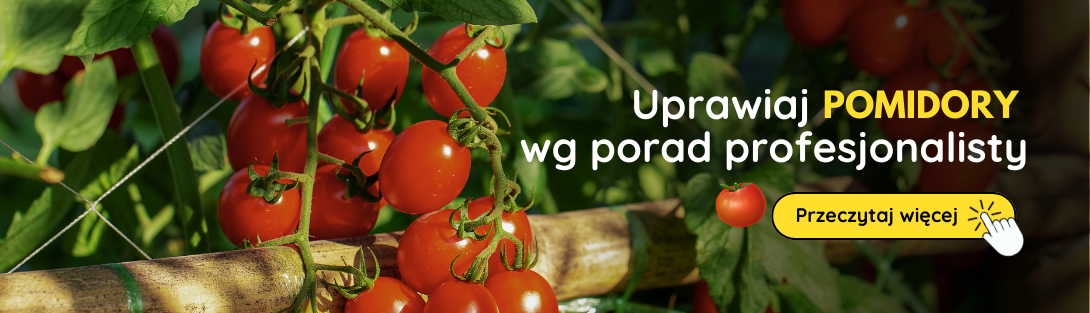 PL Pestovanie paradajok (3,4,5,6,7,8,9)