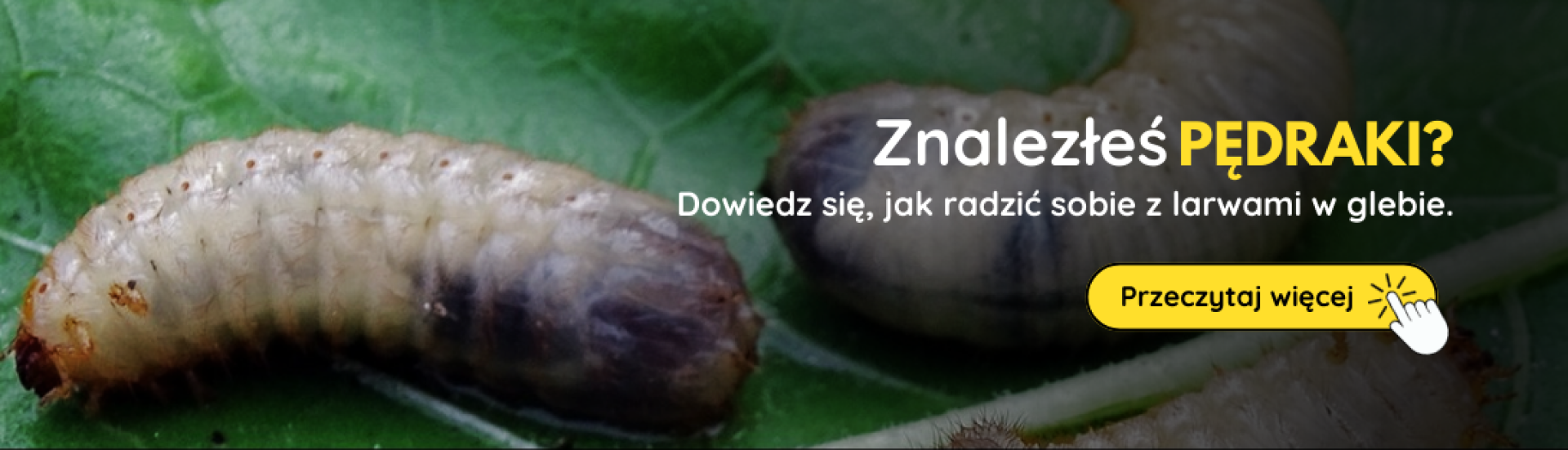 PL Pandravy (3,4,5,6,7,8,9,10)