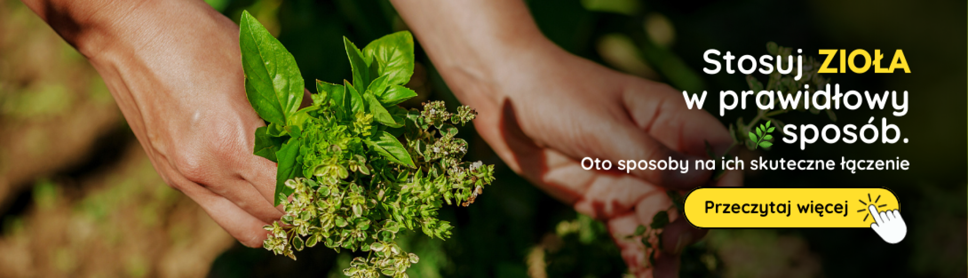 PL Pestovanie byliniek (4, 5,6,7,8,9)